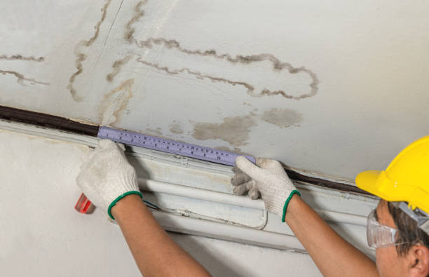 Reliable Basement Water Removal contractor in Greenwood, LA by Water Damage Irwin